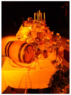 Plaisirs du vin